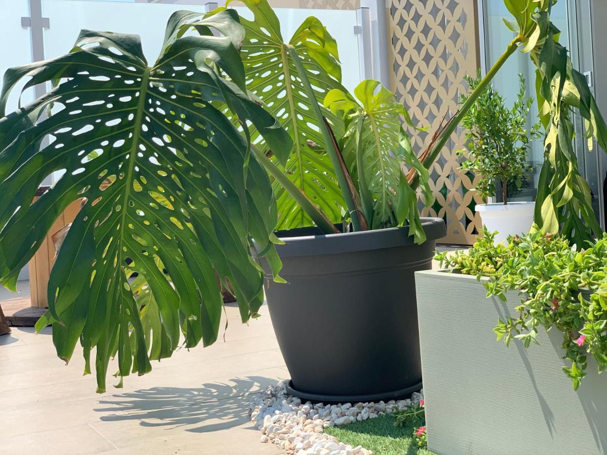 Dalu Suite Terrace Барі Екстер'єр фото